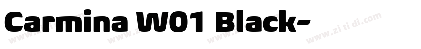Carmina W01 Black字体转换